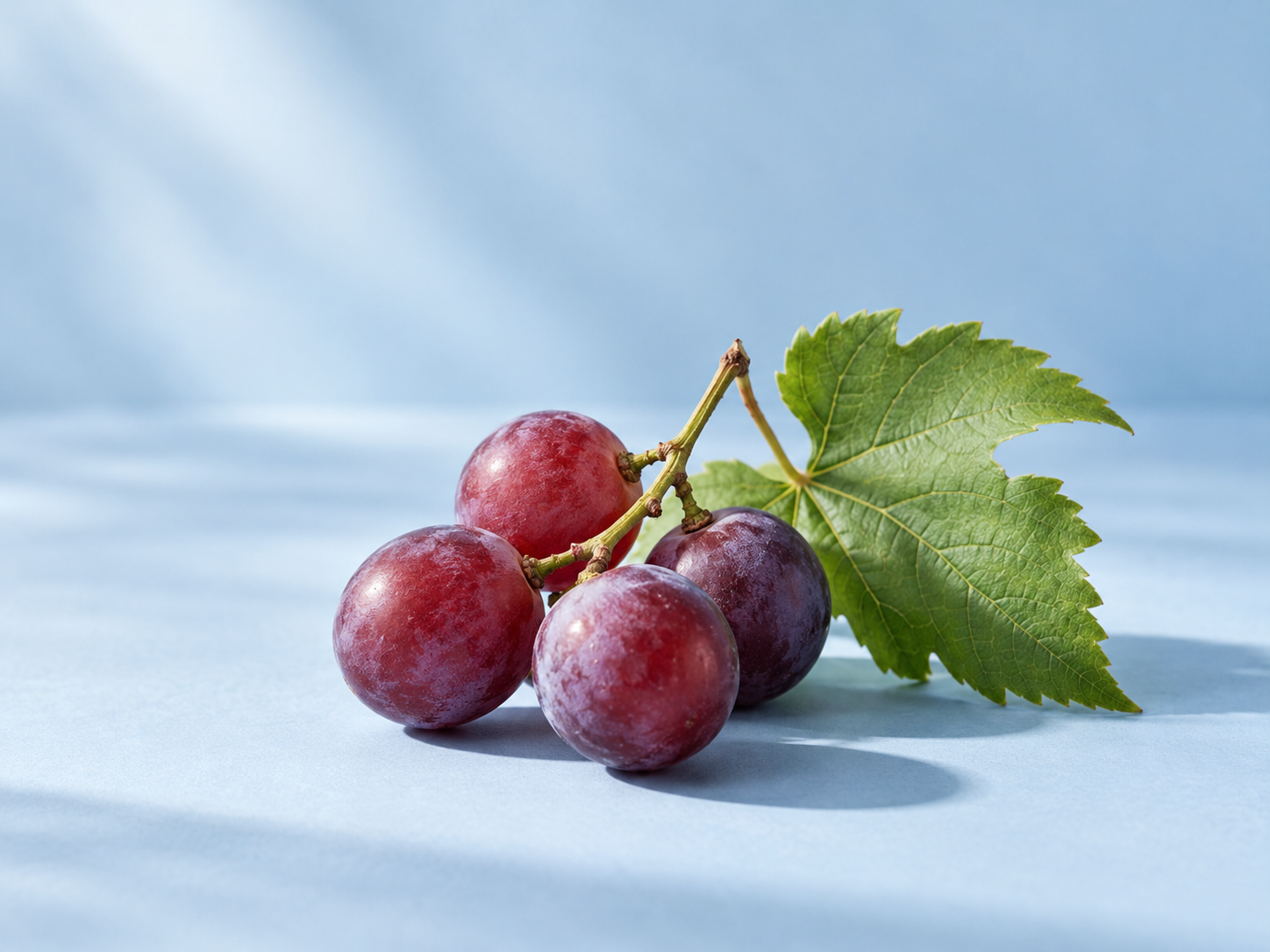The Polyphenol Side of Longevity